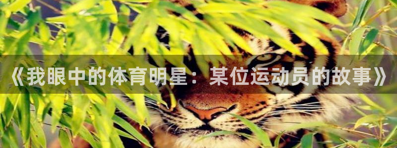 蚂蚁体育下载