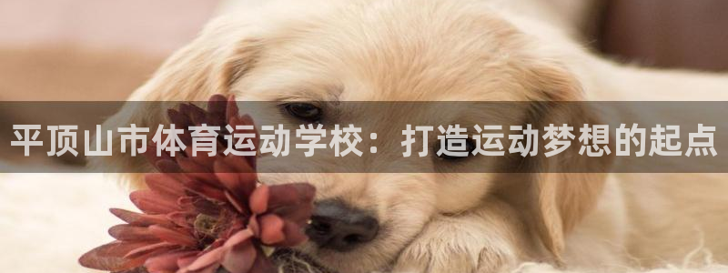 蚂蚁体育收费吗