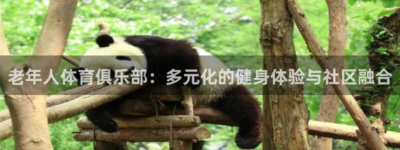 蚂蚁体育直播足球在线观看：老年人体育俱乐部：多元化的健身体验与社区融合