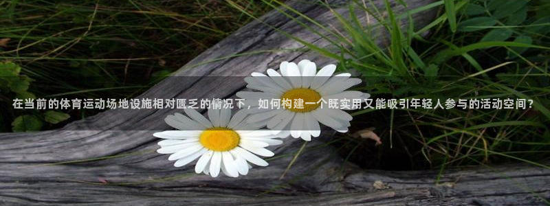 蚂蚁体育免费直播nba：在当前的体育运动场地设施相对匮乏的情况下，如何构建一个既实用又能吸引年轻人参与的活动空间？