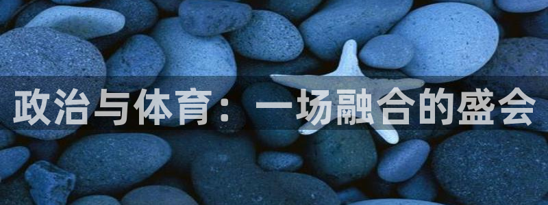 蚂蚁体育苹果版下载：政治与体育：一场融合的盛会