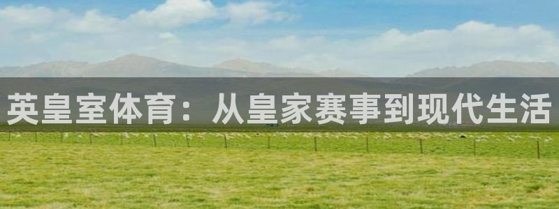 蚂蚁体育免费打开入口
