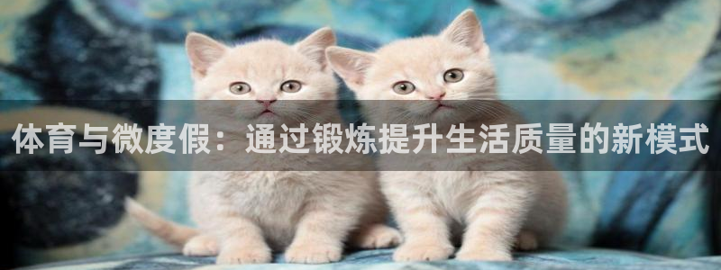 蚂蚁体育为什么现在没有直播了