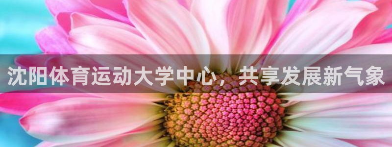 蚂蚁体育篮球
